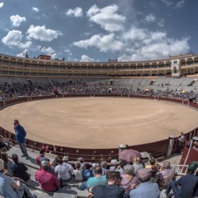 Ciudadanos Orihuela no recurrirá en casación la sentencia del TSJ-CV sobre la moción contra espectáculos taurinos